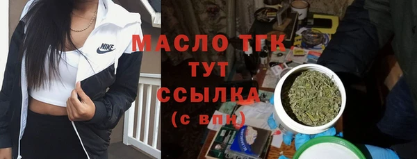 стафф Верхний Тагил
