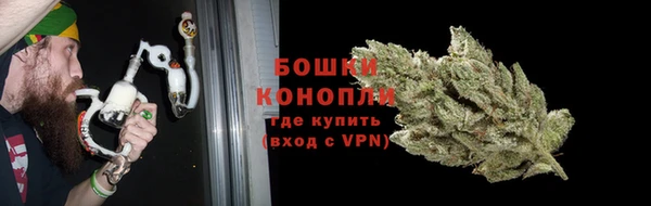 стафф Верхний Тагил